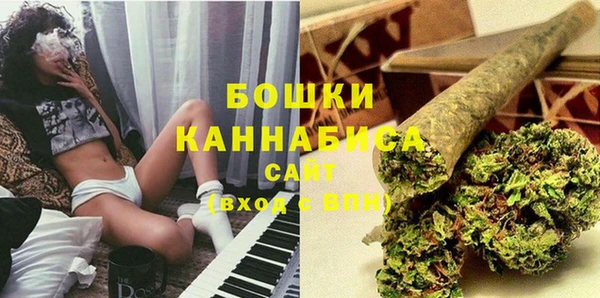 дживик Володарск