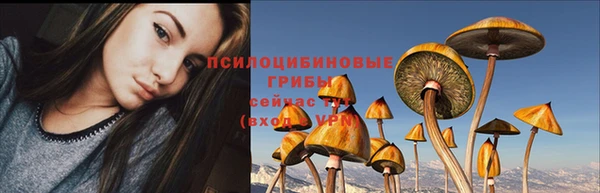 таблы Верея