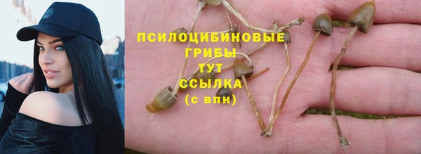 дживик Володарск