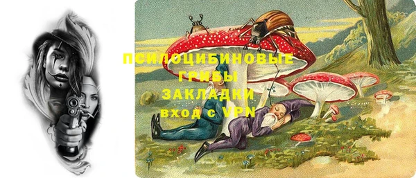 дживик Володарск