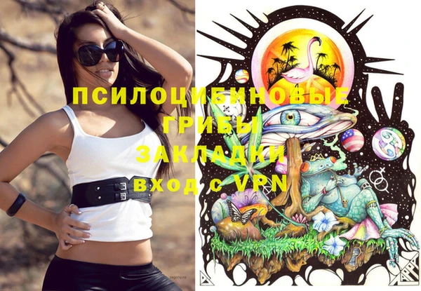 дживик Володарск
